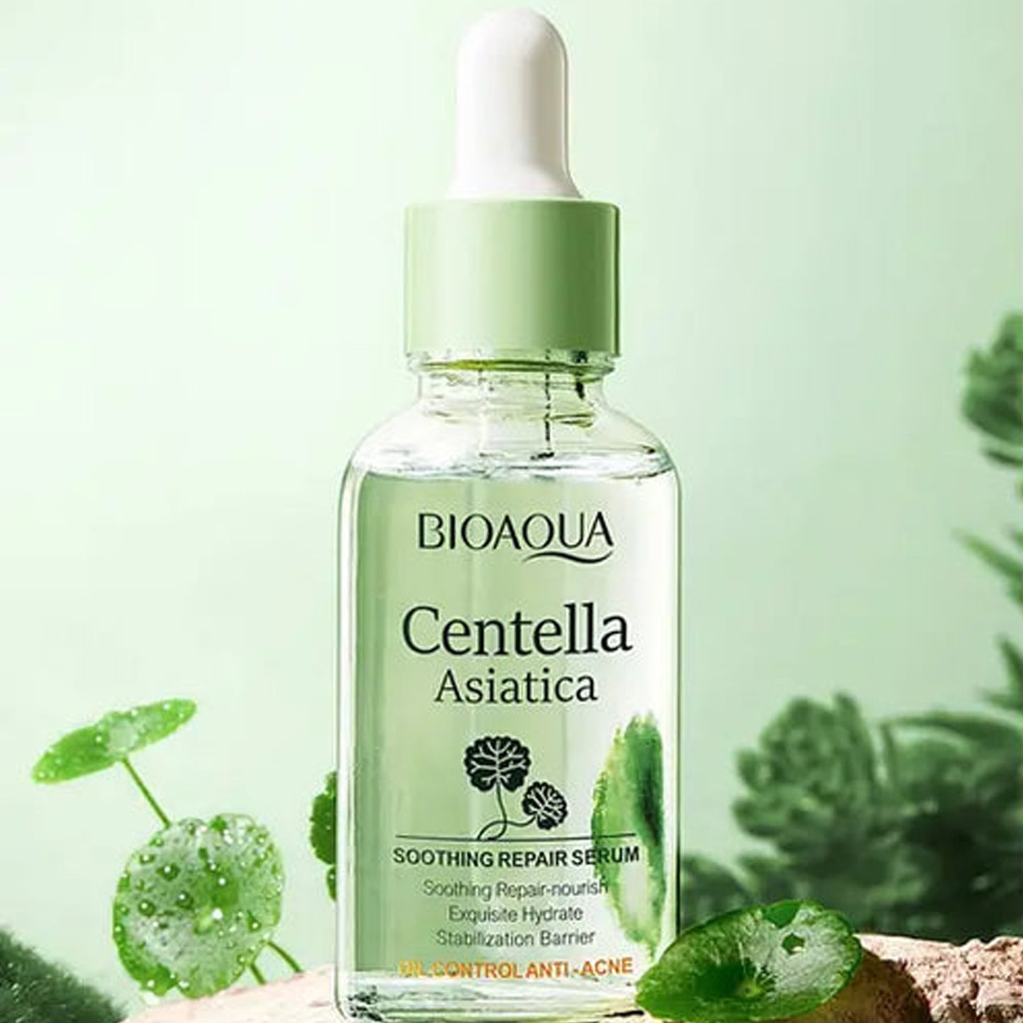 Kit Centella Asiática